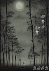 回音谷秘事